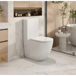 Norton Matte White Quiet flushing technology Rimless + Tornado Toilet Suite